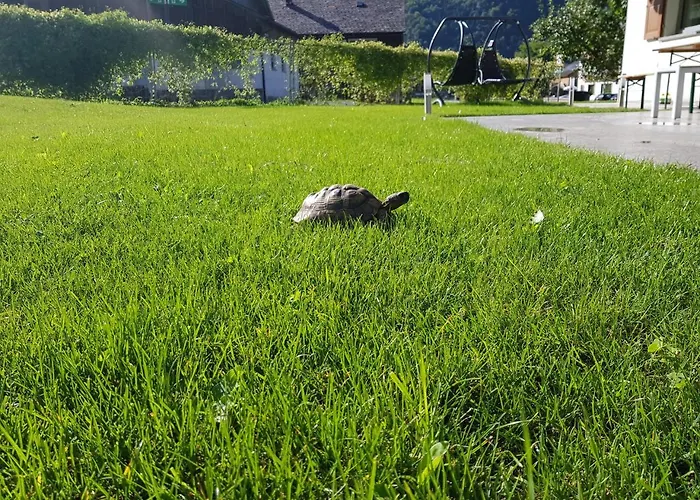 Apartamento Appartement-ennemoser Mellau